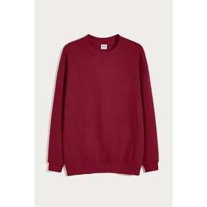 Mikina, Barva Bordó, s Potiskem Regular Hoodie obraz