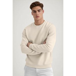 Mikina, Barva Ekru, s Potiskem Regular Hoodie obraz