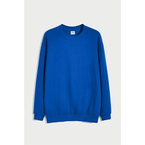 Mikina, Barva Modrá Elektrická, s Potiskem Regular Hoodie obraz