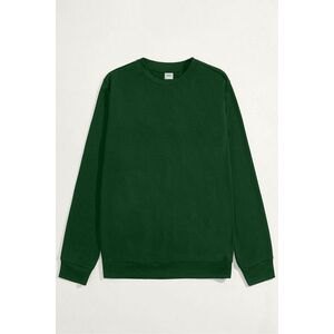 Mikina, Barva Zelená, s Potiskem Regular Hoodie obraz