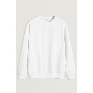 Mikina, Barva Bílá, s Potiskem Regular Hoodie obraz