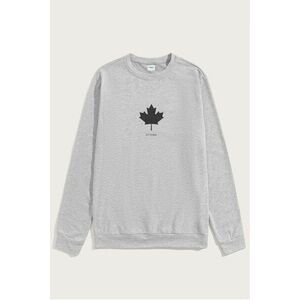 Mikina, Barva Šedá, s Potiskem Ottawa Canada obraz