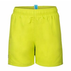 Arena Fundamentals Logo Boxer R Boys, Šortky, Velikost: 164 obraz