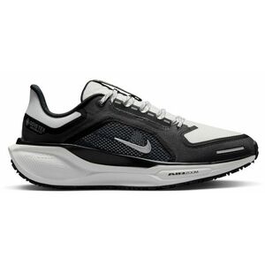 Nike Pegasus 41 GTX W, Dámská silniční běžecká obuv, Velikost: 40 EUR obraz