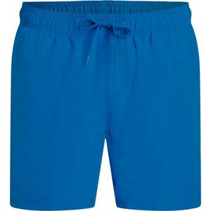 Firefly Ken IV Swim Shorts, Šortky, Velikost: L obraz