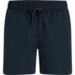 Firefly Ken IV Swim Shorts, Šortky, Velikost: L obraz