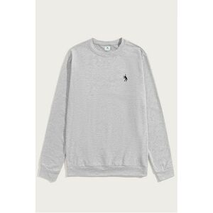 Mikina, Barva Šedá, s Potiskem Tennis Serve obraz