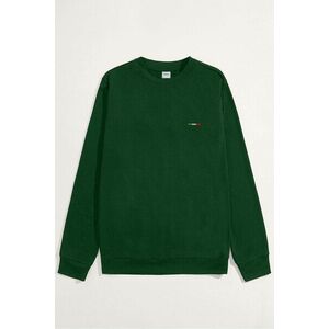 Mikina, Barva Zelená, s Potiskem Italian Stripe obraz