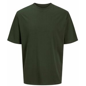 JACK AND JONES Jack & Jones Bradley, Tričko, Velikost: L obraz