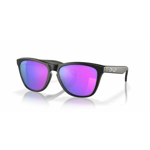Oakley Frogskins ™, Sluneční brýle, Velikost: Univerzální velikost obraz