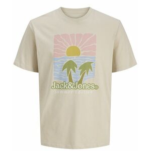 JACK AND JONES Jack & Jones pravidelný m, Tričko, Velikost: L obraz