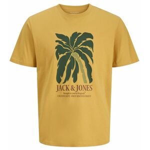 JACK AND JONES Jack & Jones pravidelný m, Tričko, Velikost: L obraz