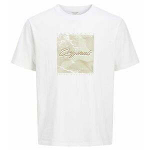 JACK AND JONES Tričko Jack & Jones Plain, Tričko, Velikost: L obraz