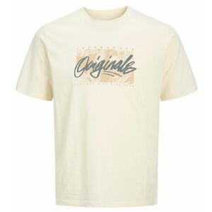 JACK AND JONES Tričko Jack & Jones Plain, Tričko, Velikost: L obraz