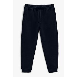 Tepláky Jogger , Barva Modrá, s Potiskem Basic Jogger obraz