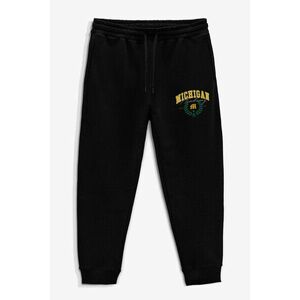 Tepláky Jogger , Barva Černá, s Potiskem Michigan Academy obraz
