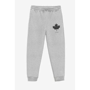 Tepláky Jogger , Barva Šedá, s Potiskem Ottawa Canada obraz