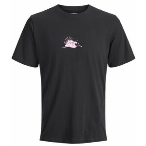 JACK AND JONES Jack & Jones Jortarot, Tričko, Velikost: L obraz