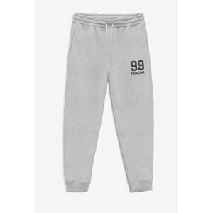 Tepláky Jogger , Barva Šedá, s Potiskem 99 Problems obraz