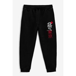 Tepláky Jogger , Barva Černá, s Potiskem Tokyo Rising Dragon obraz