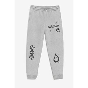 Tepláky Jogger , Barva Šedá, s Potiskem undefined obraz