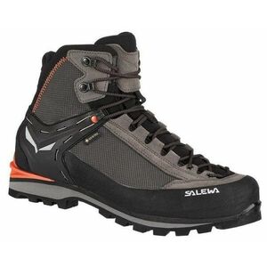 Salewa Crow GTX M, Pohorky, Velikost: 46 EUR obraz