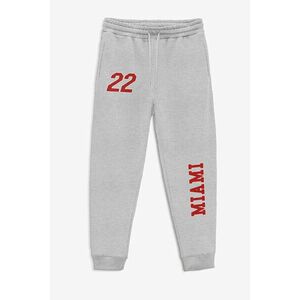 Tepláky Jogger , Barva Šedá, s Potiskem Miami 22 obraz