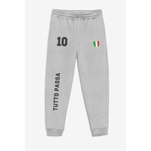 Tepláky Jogger , Barva Šedá, s Potiskem Italy 10 obraz
