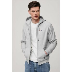 Mikina s Kapucí na Zip, Barva Šedá, s Potiskem French Stripe obraz