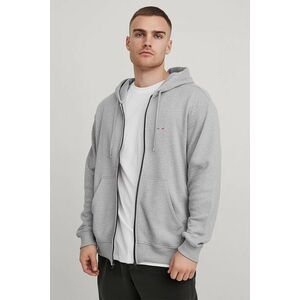 Mikina s Kapucí na Zip, Barva Šedá, s Potiskem Italian Horizontal Stripe obraz