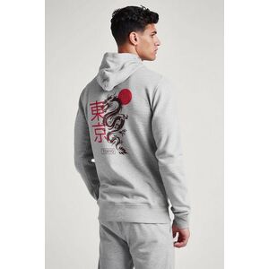 Mikina s Kapucí na Zip, Barva Šedá, s Potiskem Tokyo Rising Dragon obraz
