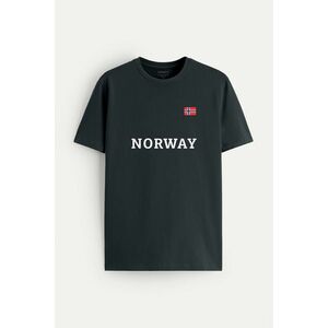 Tričko, Barva Železitě Šedá, s Potiskem Norway obraz