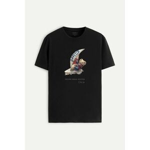 Tričko, Barva Černá, s Potiskem Wind Surfing Teddy obraz