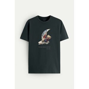 Tričko, Barva Železitě Šedá, s Potiskem Wind Surfing Teddy obraz