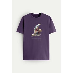 Tričko, Barva Fialová , s Potiskem Wind Surfing Teddy obraz