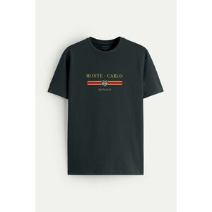 Tričko, Barva Železitě Šedá, s Potiskem Monte Carlo Apex obraz