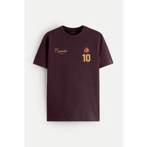 Tričko, Barva Bordó, s Potiskem Maestro 10 Spain obraz