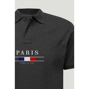 Polo Tričko Slim Fit, Barva Železitě Šedá, s Potiskem Paris La Vie obraz
