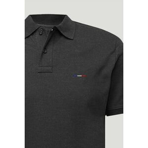 Polo Tričko Slim Fit, Barva Železitě Šedá, s Potiskem French Stripe obraz