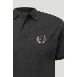 Polo Tričko Slim Fit, Barva Železitě Šedá, s Potiskem Victorious obraz