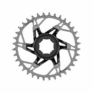 SRAM převodník - XX T-TYPE 34T - stříbrná/černá obraz