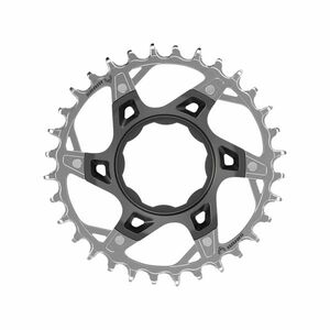 SRAM převodník - XX TQ 32z T-TYPE - stříbrná/černá obraz