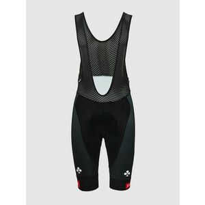 PISSEI Cyklistické kalhoty krátké s laclem - UAE TEAM EMIRATES 2025 REPLICA - černá L obraz