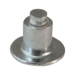 SCHWALBE ostny - SPIKES - stříbrná obraz