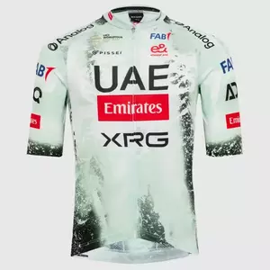 PISSEI Cyklistický dres s krátkým rukávem - TOUR DE FRANCE 25 REPLICA - vícebarevná L obraz