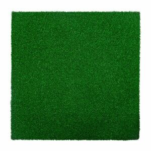 Zátěžová podložka inSPORTline Grasteko 50x50x2 cm obraz