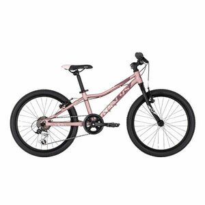 Dětské kolo KELLYS LUMI 30 20" 9.0 10" (115-135 cm) Gold Rose obraz