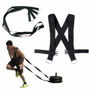 Ramenní popruhy pro zátěžové saně inSPORTline SledMaster obraz