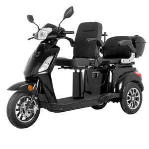 Elektrický tříkolový vozík inSPORTline Zorica Duo dvoumístný černá obraz