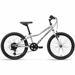 Dětské kolo Galaxy Neptun 20" - model 2025 10" (113-135 cm) stříbrná obraz